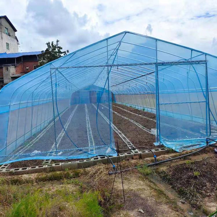 Greenhouse Greenhouse