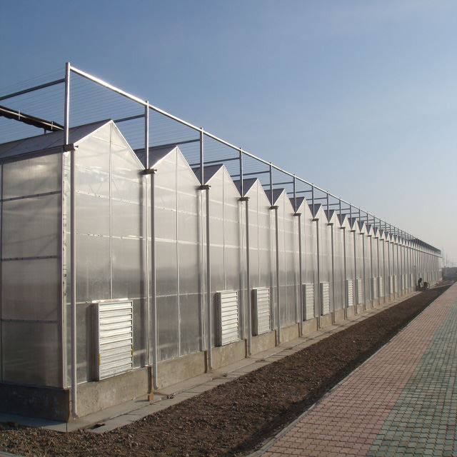 Tunnel Agricultural Greenhouse