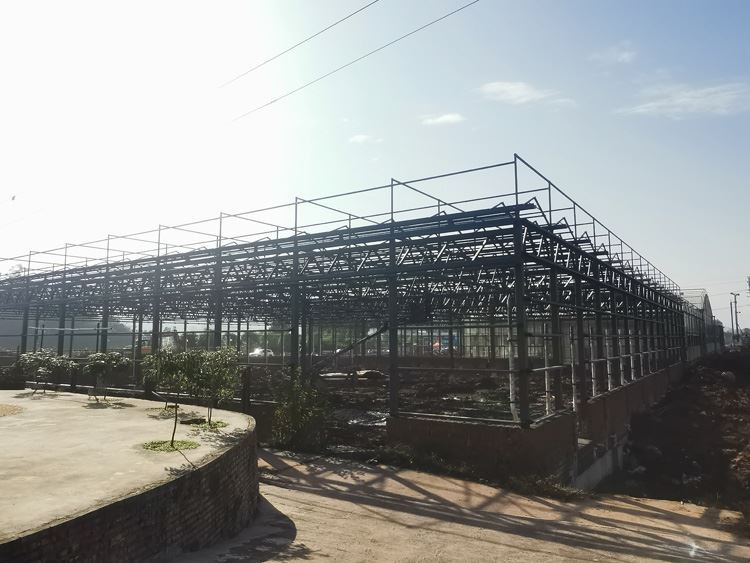 The role of the greenhouse The role of the greenhouse