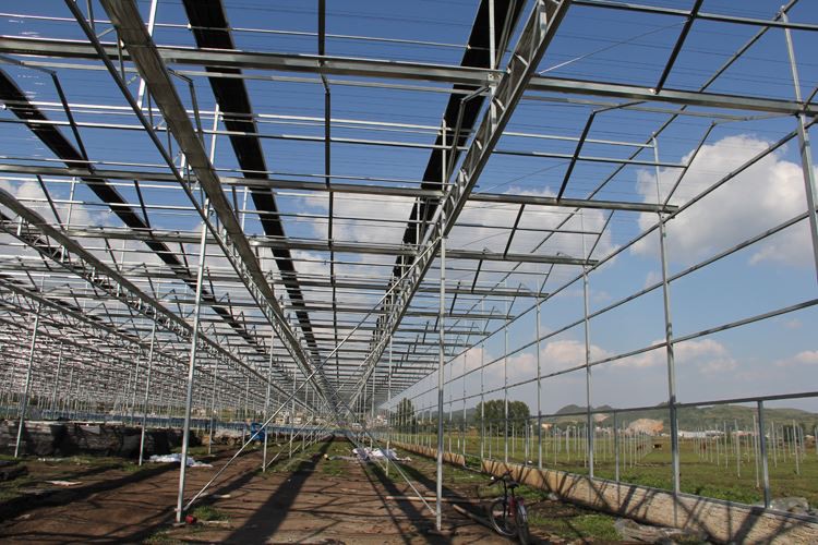 Intelligent Greenhouse Design