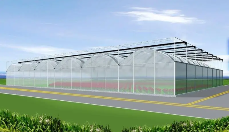 multi-span greenhouse multi-span greenhouse