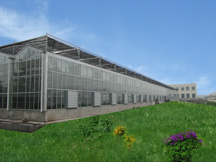 Glass Greenhouse Glass Greenhouse