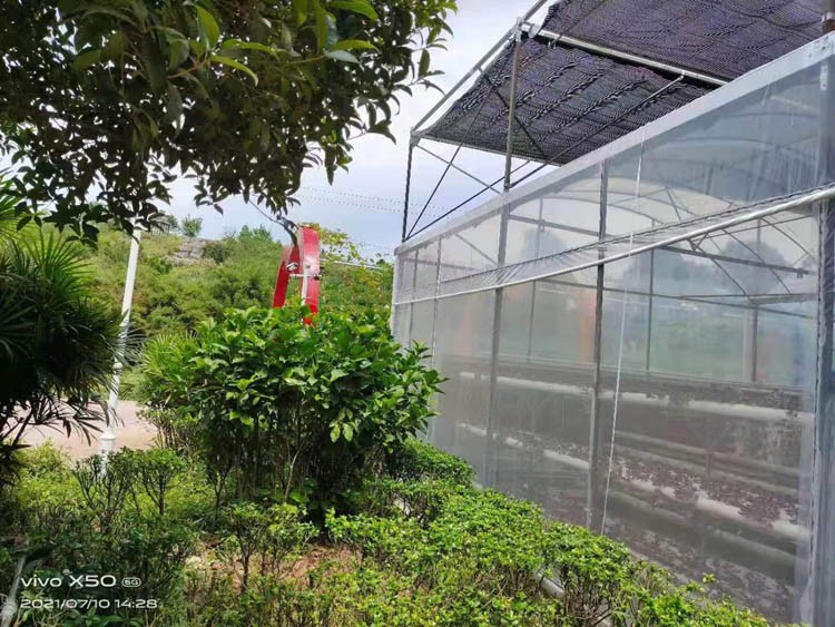 Muti-span Plastic Film Greenhouse Muti-span Plastic Film Greenhouse