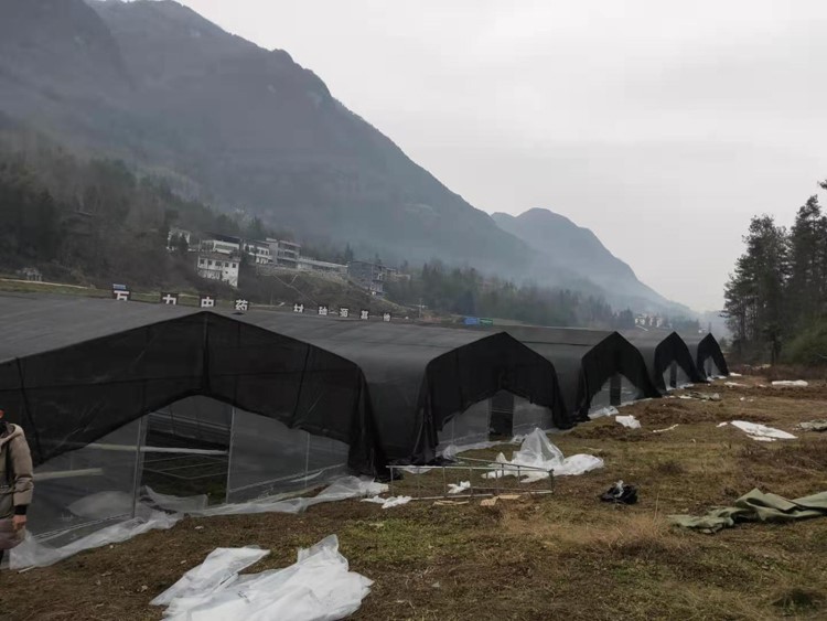 Ventilation design requirements for greenhouses Ventilation design requirements for greenhouses