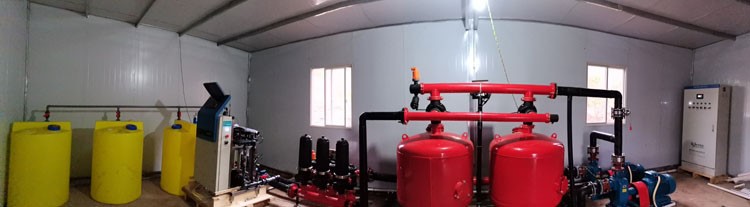 Greenhouses of Vegetables