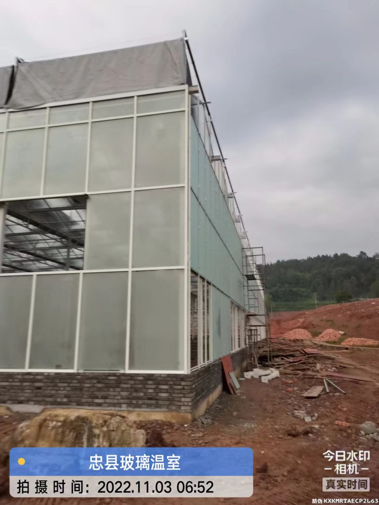 Reasons and Remedial Measures of Phytochemical Injury in Greenhouses of Vegetables