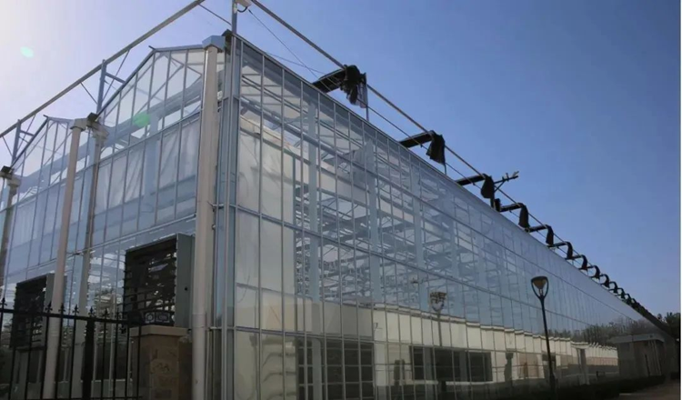 Multi-span greenhouses achieve these 6 points in terms of configuration and technology and there will be no repairs in 10 years Multi-span greenhouses achieve these 6 points in terms of configuration and technology and there will be no repairs in 10 years