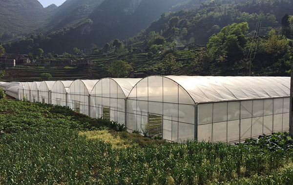 Basic construction requirements for greenhouses Basic construction requirements for greenhouses