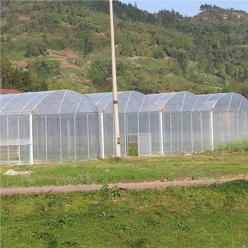 6 Mil Serra Plastica Home Depot