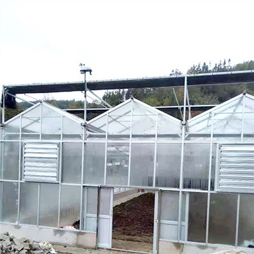 Serra agricola di vetro di tipo Venlo