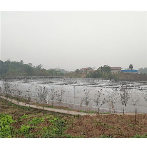 Farme di plastica trasparente per le serre