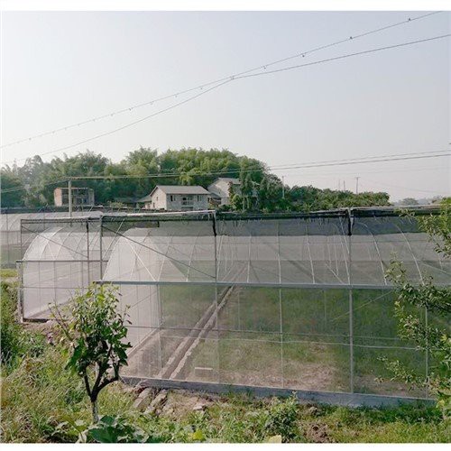 Farme di plastica a freddo per serra