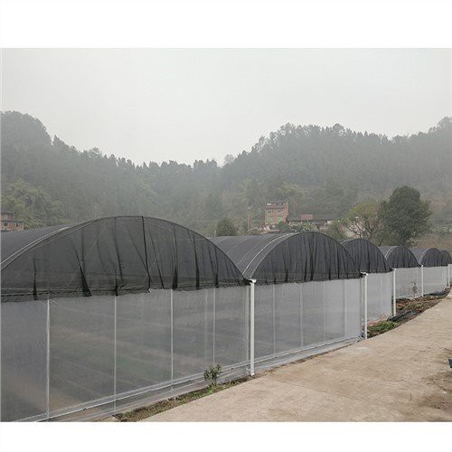 Plastica di serra commerciale