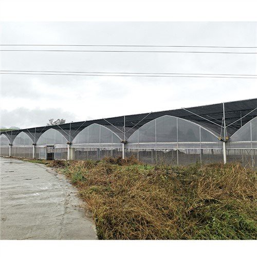 Coperture per serra in plastica in plastica Home