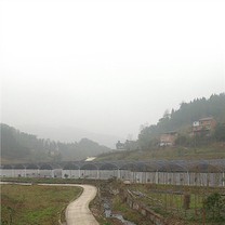 Serra della casa dell'ombra