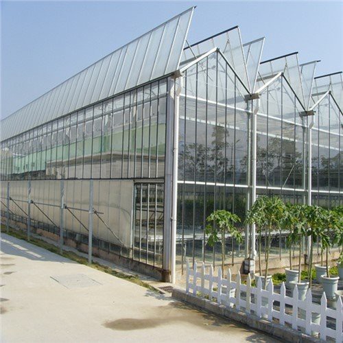 Serra trasparente multi -span
