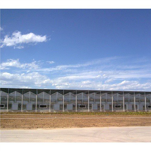 Venlo Style Glass Agricultural Greenhouse