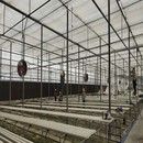 Sistema idroponico per serre